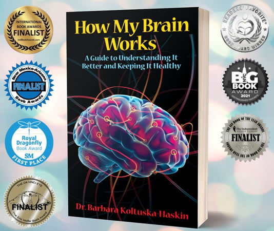 Book cover for How My Brain Works